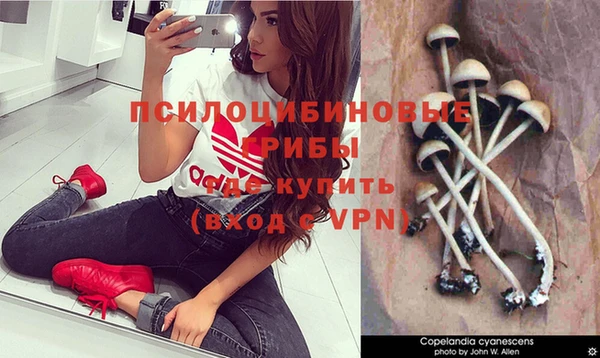 а пвп мука Михайловка