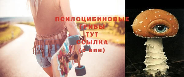 ГАЛЛЮЦИНОГЕННЫЕ ГРИБЫ Алапаевск