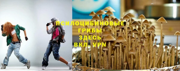 МДПВ Навашино