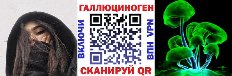 ссылка на мегу как войти  Зверево  Галлюциногенные грибы Psilocybine cubensis 