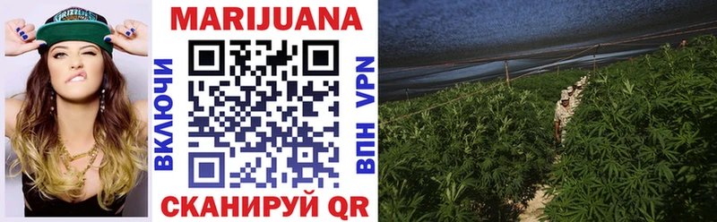Марихуана SATIVA & INDICA  продажа наркотиков  Зверево 